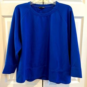 Gorgeous blue Eileen Fisher sweatshirt